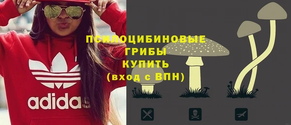 тгк Аркадак